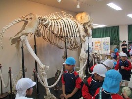 はつはな組とはなか組の遠足10月24日(火)