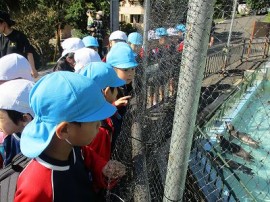 はつはな組とはなか組の遠足10月24日(火)