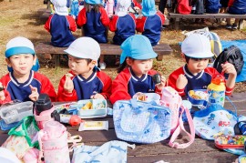 秋の遠足/はつはな・はなか組⑤11/11(火)